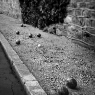 Bocce b & w